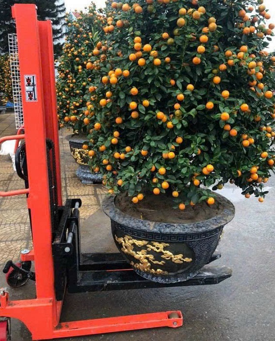 xe-nang-tay-cao-1-tan-1-5